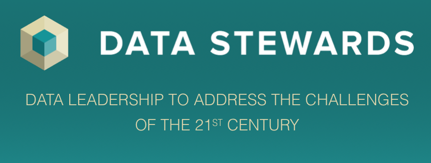 Data Stewards_screenshot