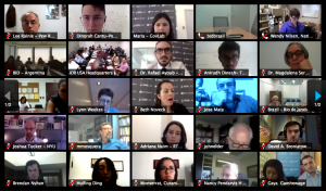 Screenshot of online conference showing participants in smaller screens