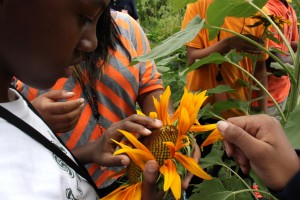 Participants aged 12-14 during field trip to USDA Research facility
