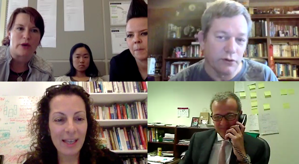 Screenshot from the conference call in 2017